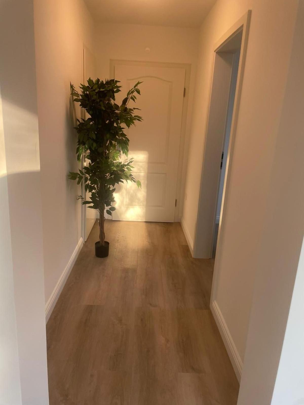 Liro Apartments Oberstrasse Muelheim مولهايم ان الرور دير المظهر الخارجي الصورة